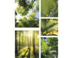 Hornbach Leinwandbild Pure Nature 5er-Set 60x80 cm