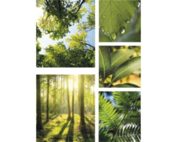 Leinwandbild Pure Nature 5er-Set 60x80 cm