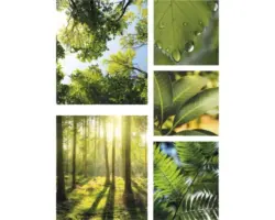 Leinwandbild Pure Nature 5er-Set 60x80 cm