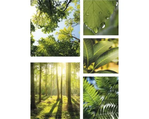 Leinwandbild Pure Nature 5er-Set 60x80 cm