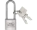 Hornbach Vorhängeschloss Burg Wächter Alutitan 770 HB 30 45 SB 30 mm Aluminium