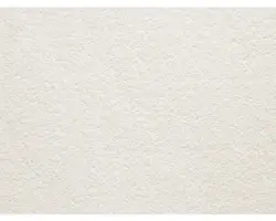 Teppichboden Saxony Grizzly ecru 400 cm breit (Meterware)