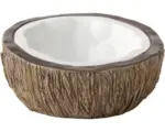 Hornbach Exo Terra Tiki Kokosnuss-Wassernapf 12x14x60 cm, braun