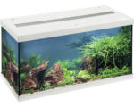 Hornbach Aquarium EHEIM aquastar 54 mit LED-Beleuchtung, Innenfilter, Heizer, Thermometer ohne Unterschrank weiß