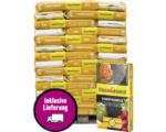 Hornbach Torfhumus Floragard 45x60 L (= 2,7 m³) Palette inkl. Lieferung