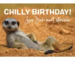 Hornbach Postkarte Chilly Birthday! Lass dich nicht stressen. 14,8x10,5 cm