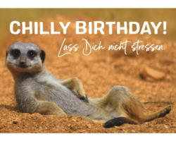 Postkarte Chilly Birthday! Lass dich nicht stressen. 14,8x10,5 cm