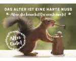 Hornbach Postkarte Das Alter ist eine harte Nuss. Alles Gute! 14,8x10,5 cm