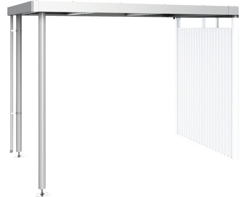 Dachanbau Biohort HighLine 282 x 195 x 222 cm silber