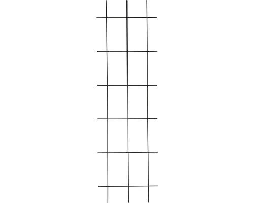 Gitterspalier Lafiora Eisen 45x150 cm anthrazit