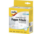 Hornbach Molto Fugen-Frisch 250 ml