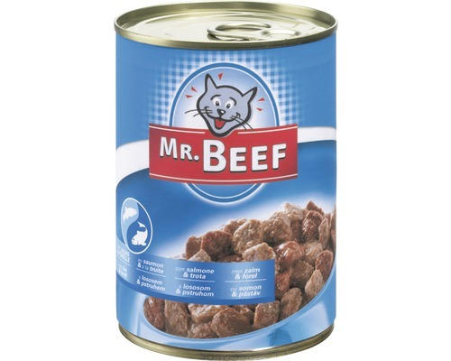 Katzenfutter nass MR.BEEF Lachs und Forelle 400 g