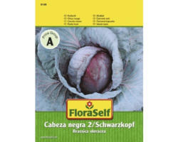 Rotkohl 'Cabeza negra 2 / Schwarzkopf' FloraSelf samenfestes Saatgut Gemüsesamen