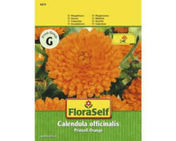 Ringelblume 'Prinzeß Orange' FloraSelf samenfestes Saatgut Blumensamen