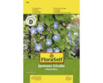 Hornbach Kaiserwinde 'Himmelblau' FloraSelf samenfestes Saatgut Blumensamen