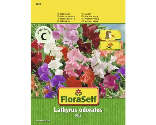 Edelwicke 'Mix' FloraSelf samenfestes Saatgut Blumensamen