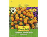 Hornbach Tagetes 'Orangeflamme' FloraSelf samenfestes Saatgut Blumensamen