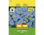 Hornbach Alpenaster 'Lightblue' FloraSelf samenfestes Saatgut Blumensamen