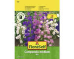 Hornbach Marienglockenblume 'Mix' FloraSelf samenfestes Saatgut Blumensamen