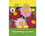 Hornbach Margerite Mix FloraSelf samenfestes Saatgut Blumensamen