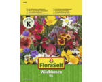 Hornbach Blumenwiesensamen FloraSelf Amerikanische Landblumen Mix samenfestes Saatgut