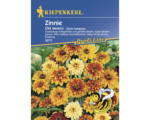 Hornbach Zinnie 'Old Mexiko' Kiepenkerl Blumensamen