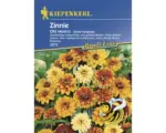 Hornbach Zinnie 'Old Mexiko' Kiepenkerl Blumensamen