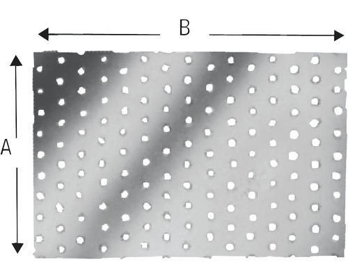 Lochblech BMF 100x300x2 mm