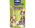 Hornbach Nagersnack, Vitakraft Drops Waldbeere für Zwergkaninchen 75 g