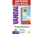 Hornbach Fliegenfalle Fensterblumen VANDAL, 6 Stk