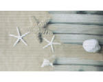 Hornbach Universalmatte Starfish 50x80 cm