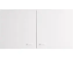 Hängeschrank Flex Well Speed/Salina weiß 100x55x32 cm mit Drehtür