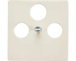 Abdeckung Antenne TV/RF/SAT Siemens 5TG2548 titanweiß