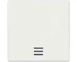 Wippe Kontroll mit Fenster Siemens 5TG6200 titanweiß