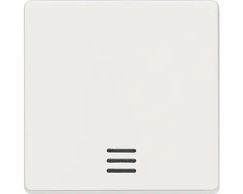 Wippe Kontroll mit Fenster Siemens 5TG6200 titanweiß