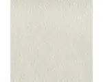 Hornbach Vliestapete Marburger Decke Putz grob Profirolle 25x0,75 m