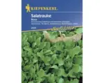 Hornbach Kräutersamen Kiepenkerl 'Rucola'