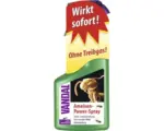 Hornbach Ameisen-Powerspray VANDAL, 500 ml