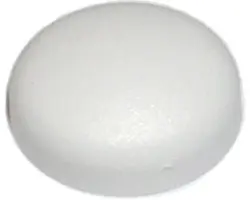 Abdeckkappe f.Nummernschild weiß, 100 Stück