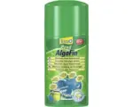 Hornbach Algenvernichter Tetra AlgoFin 1 L