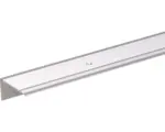 Hornbach Treppenprofil Aluminium silber 45 x 23 x 2,7 mm 2,7 mm , 1 m
