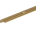 Hornbach Treppenprofil Aluminium messing 24,5 x 20 x 1,5 mm 1,5 mm , 1 m