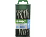 Hornbach Spax Universalschraube, Edelstahl A2, Senkkopf T 30, Holz-Teilgewinde, 6x100 mm, 10 Stück