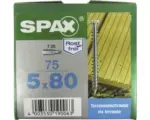 Hornbach Spax Terrassenschraube, Edelstahl A2 blank, Zylinderkopf T25, Fixiergewinde, 5x80 mm, 75 Stück
