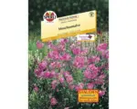Hornbach Malve 'Sperli´s' Rosa Blumensamen 'Moschusmalve'