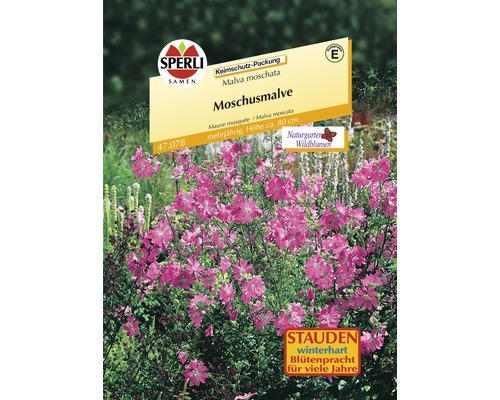 Malve 'Sperli´s' Rosa Blumensamen 'Moschusmalve'