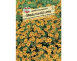 Hornbach Blumensamen 'Studentenblume'