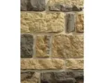 Hornbach Beton Verblendstein Klimex Ardennes 16,0x36,5 cm braun