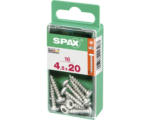 Hornbach Spax Universalschraube T 20, Halbrundkopf, 4,5x20 mm, 16 Stück