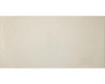 Hornbach Feinsteinzeug Bodenfliese Loire 30,0x60,0 cm beige glänzend rektifiziert